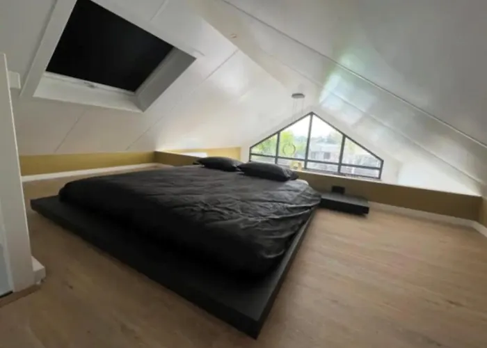 Apartment Cozy & Modern Tiny House